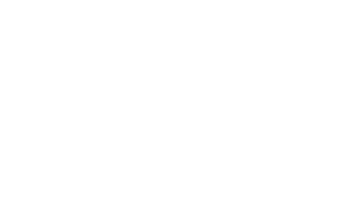 Holm Tech Solutions logo